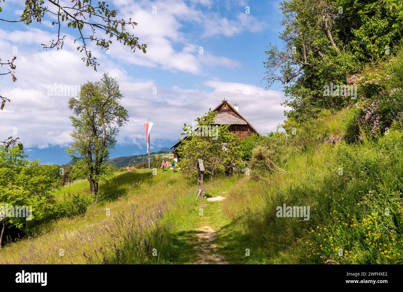 L'ancien Maso Plattner (ferme tyrolienne typique), site du Musée des abeilles, Costalovara, municipalité de Ritten, Tyrol du Sud. Trentin-Haut-Adige, nord Banque D'Images