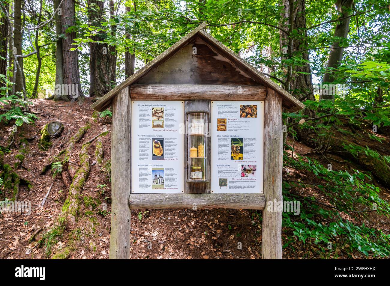 Panneau avec des informations sur les abeilles dans le sentier du Musée des abeilles, village de Costalovara, municipalité de Renon, Trentin-Haut-Adige, Tyrol du Sud, Italie du nord Banque D'Images