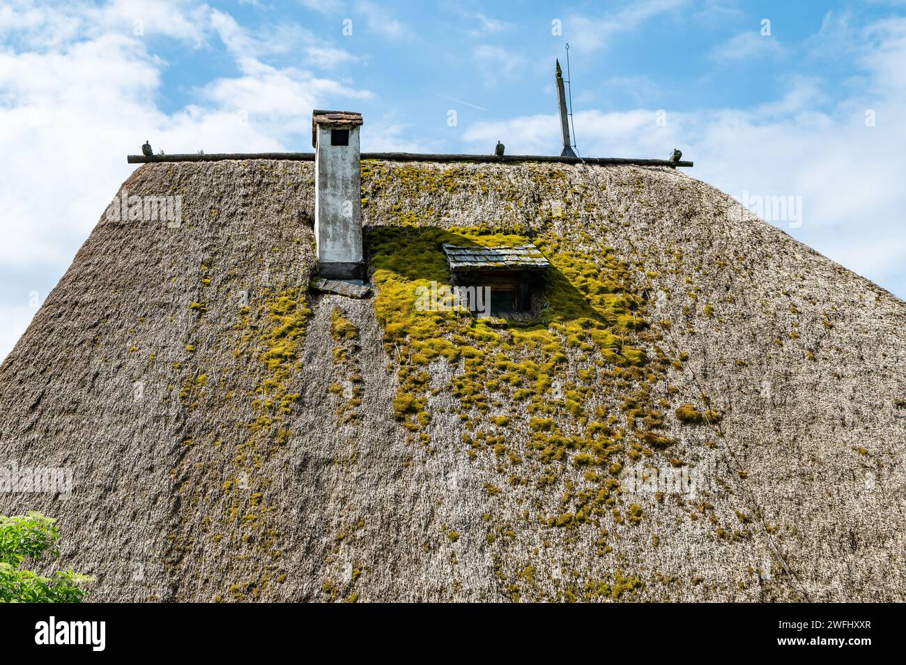 Toit de chaume caractéristique de l'ancien Maso Plattner, site du Musée des abeilles, Costalovara, municipalité de Ritten, Tyrol du Sud. Trentin-Haut-Adige, Banque D'Images