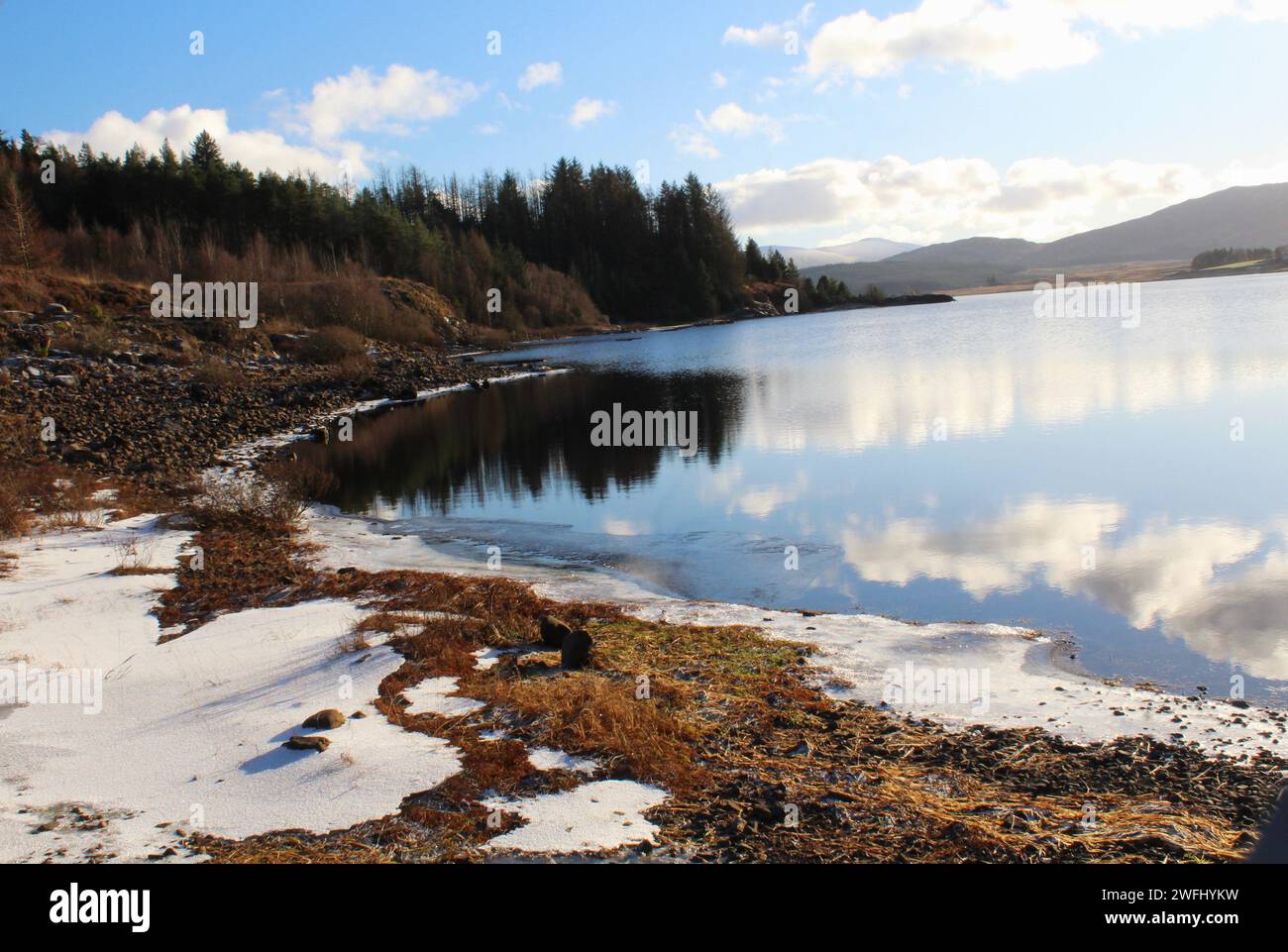 Galloway Forest Park - Écosse Banque D'Images