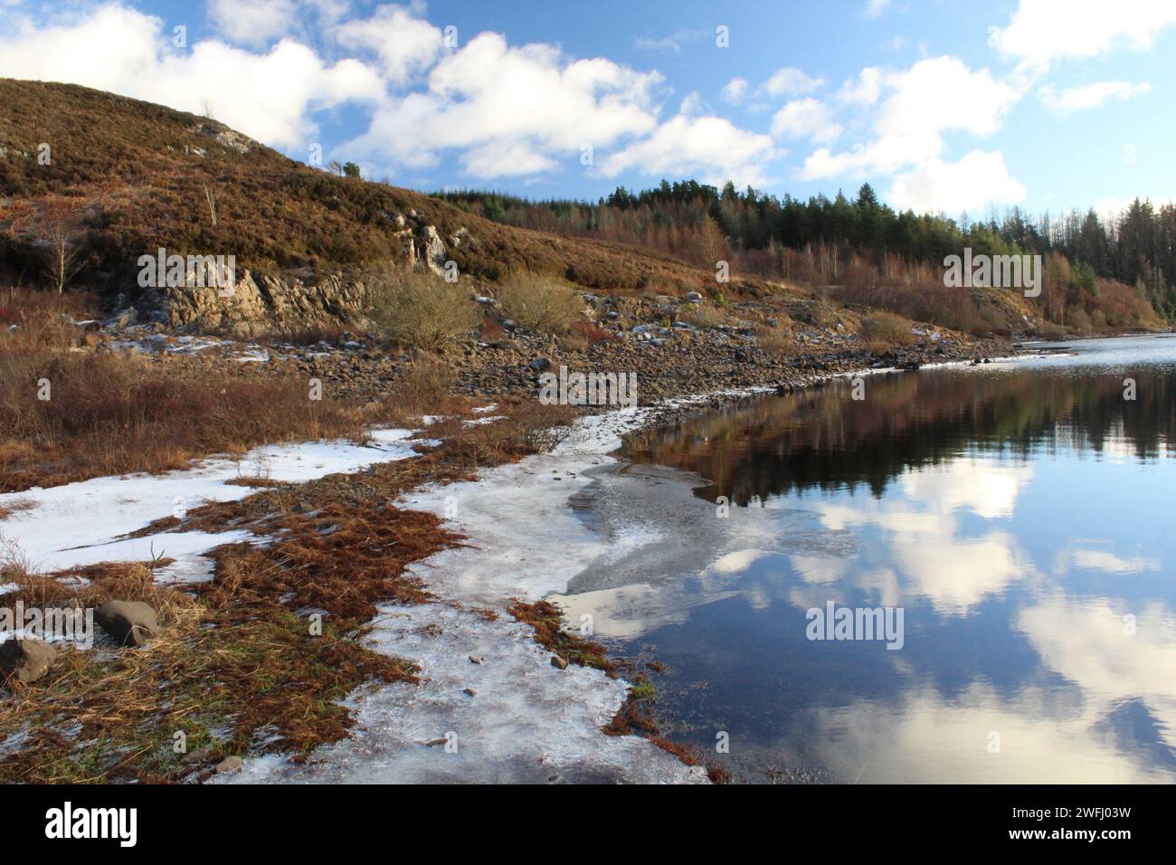 Galloway Forest Park - Écosse Banque D'Images