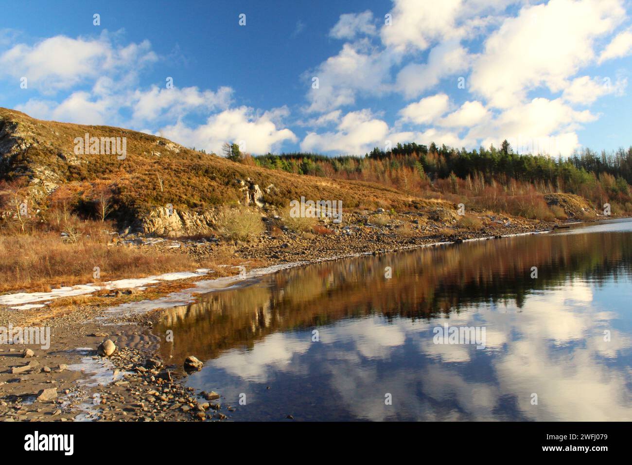 Galloway Forest Park - Écosse Banque D'Images