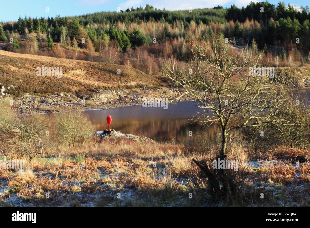 Galloway Forest Park - Écosse Banque D'Images