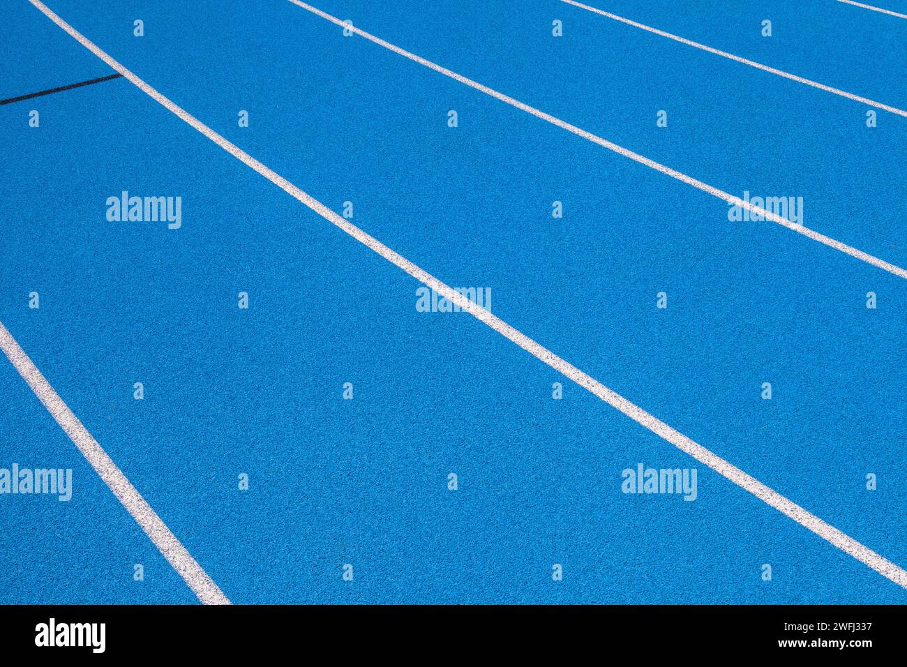 Les pistes olympiques bleues avec des bandes blanches, un fond vide adapté à l'espace de copie, représentent le concept de sport physique et de course à pied, symbole Banque D'Images