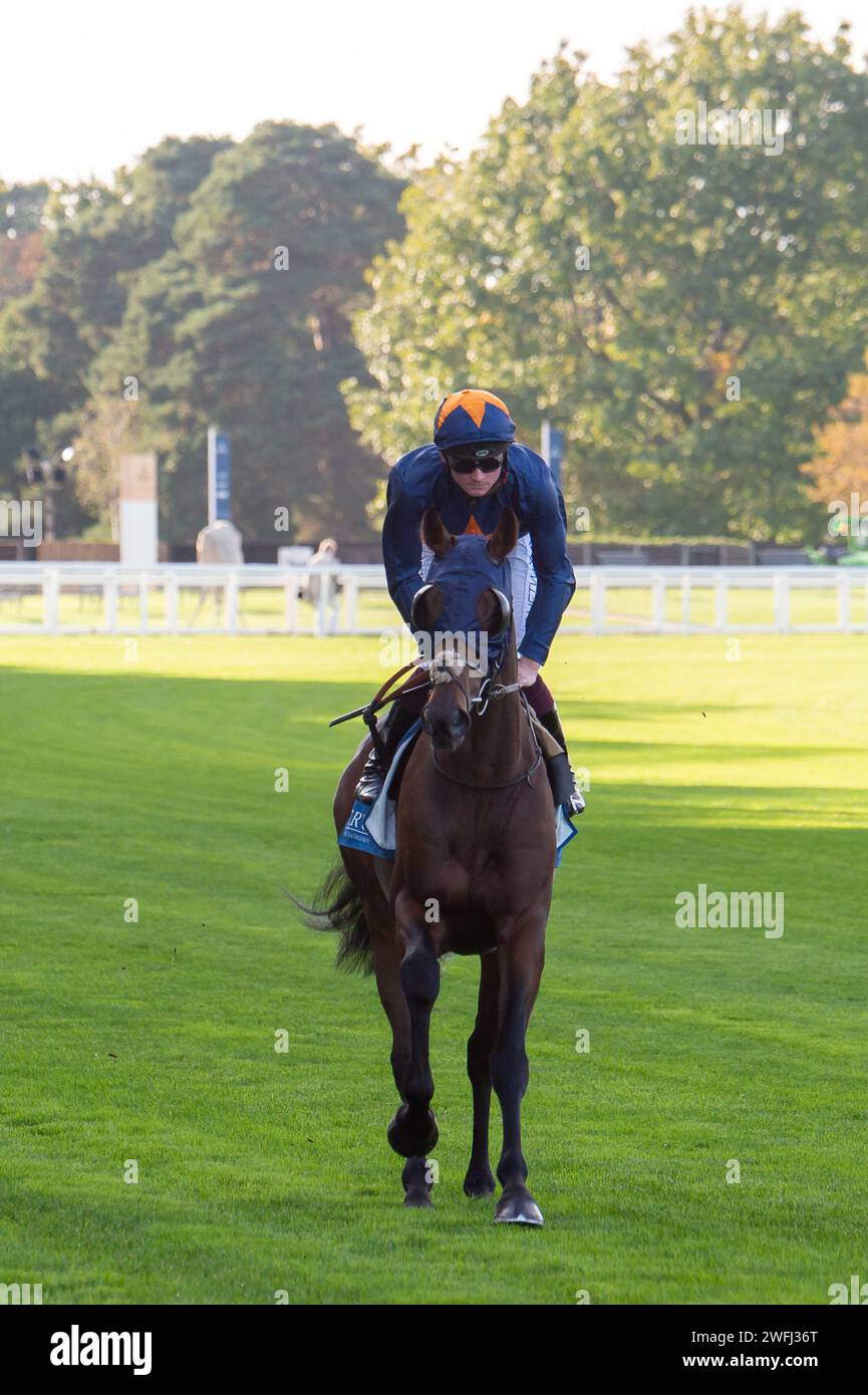 Ascot, Berkshire, Royaume-Uni. 6 octobre 2023. Le cheval Ndaawi monté par le jockey Rob Hornby se dirige vers le circuit pour les Troy Asset Management Noel Murless Stakes à l'hippodrome d'Ascot lors du meeting Autumn Racing Friday. Crédit : Maureen McLean/Alamy Banque D'Images