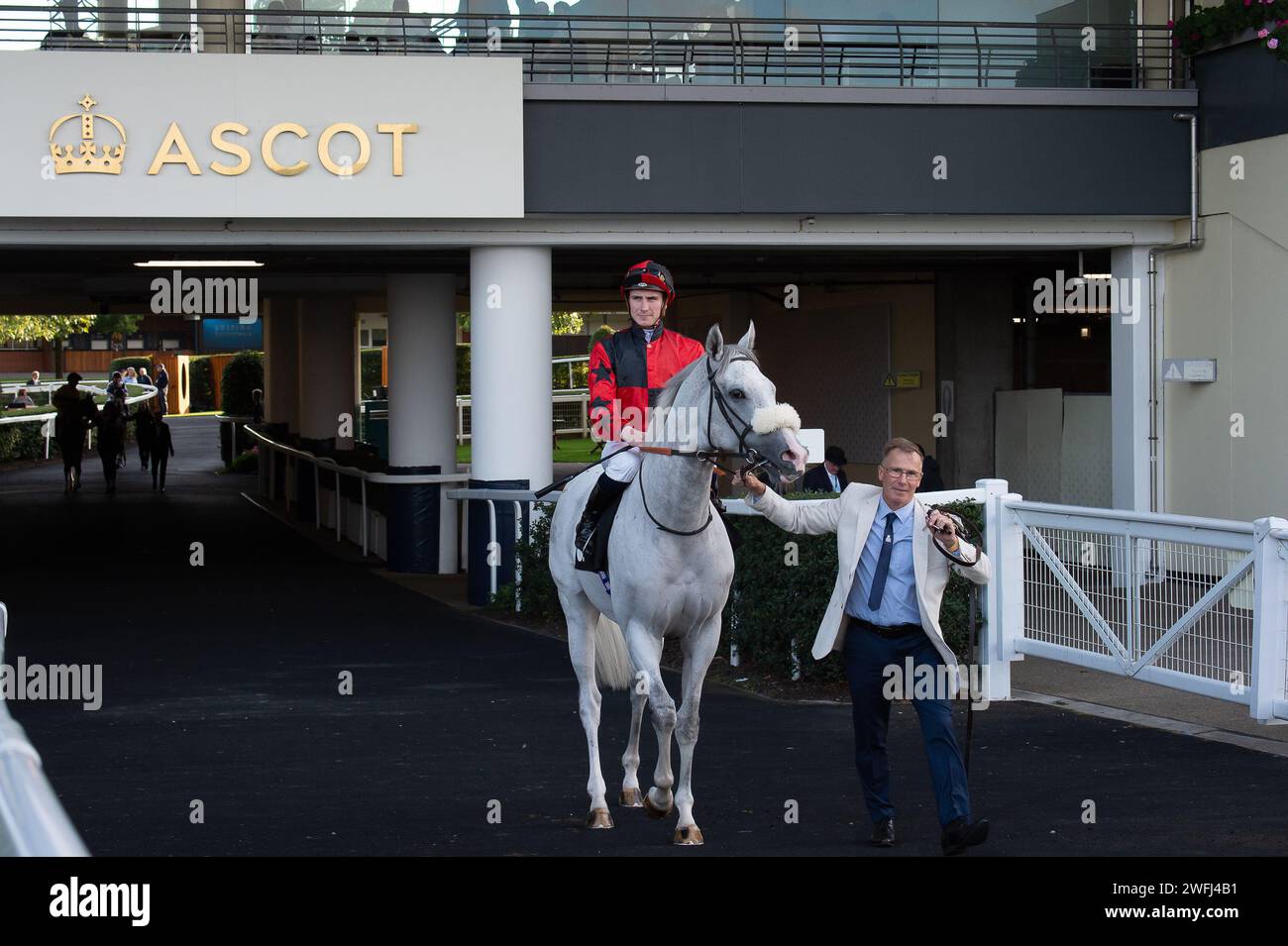 Ascot, Berkshire, Royaume-Uni. 6 octobre 2023. Horse Silver Samurai monté par le jockey Hector Crouch se dirige vers le circuit pour les Ascot Iron Stand Membership handicap Stakes lors du Autumn Racing Friday à l'hippodrome d'Ascot. Crédit : Maureen McLean/Alamy Banque D'Images