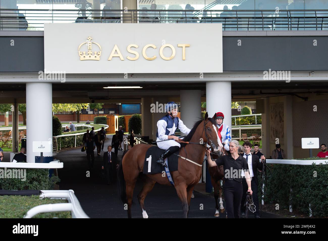 Ascot, Berkshire, Royaume-Uni. 6 octobre 2023. Le cheval Rohaan monté par le jockey Neil Callan se dirige vers le circuit avant de remporter les Ascot Iron Stand Membership handicap Stakes lors de l'Autumn Racing Friday à l'hippodrome d'Ascot. Crédit : Maureen McLean/Alamy Banque D'Images