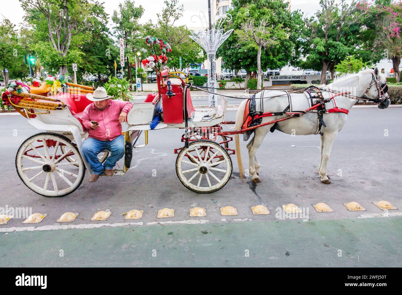 Merida Mexique, Zona Paseo Montejo Centro, calesa calesa calesa, calèche tirée par des chevaux, client en attente, homme masculin, adultes adultes, résidents, conducteur, Mexica Banque D'Images