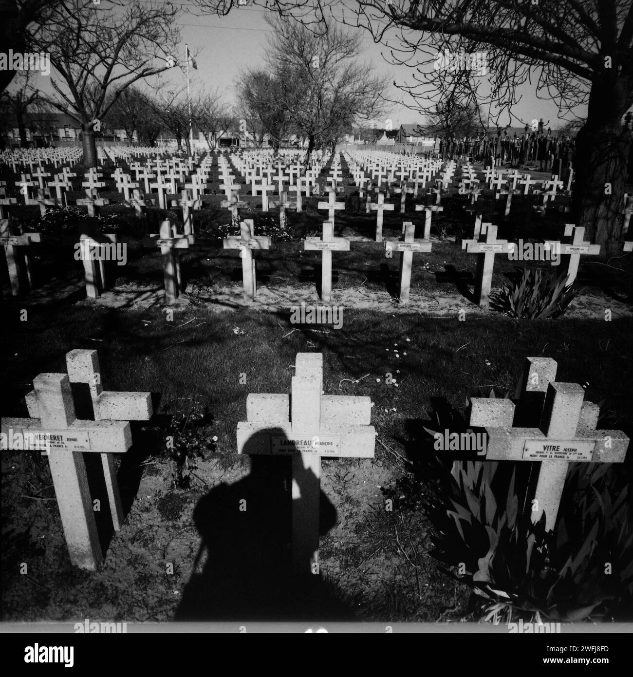 Photographie altérée, nécropole nationale française de la Seconde Guerre mondiale, Leffrinkoucke, Nord, région hauts-de-France, France Banque D'Images