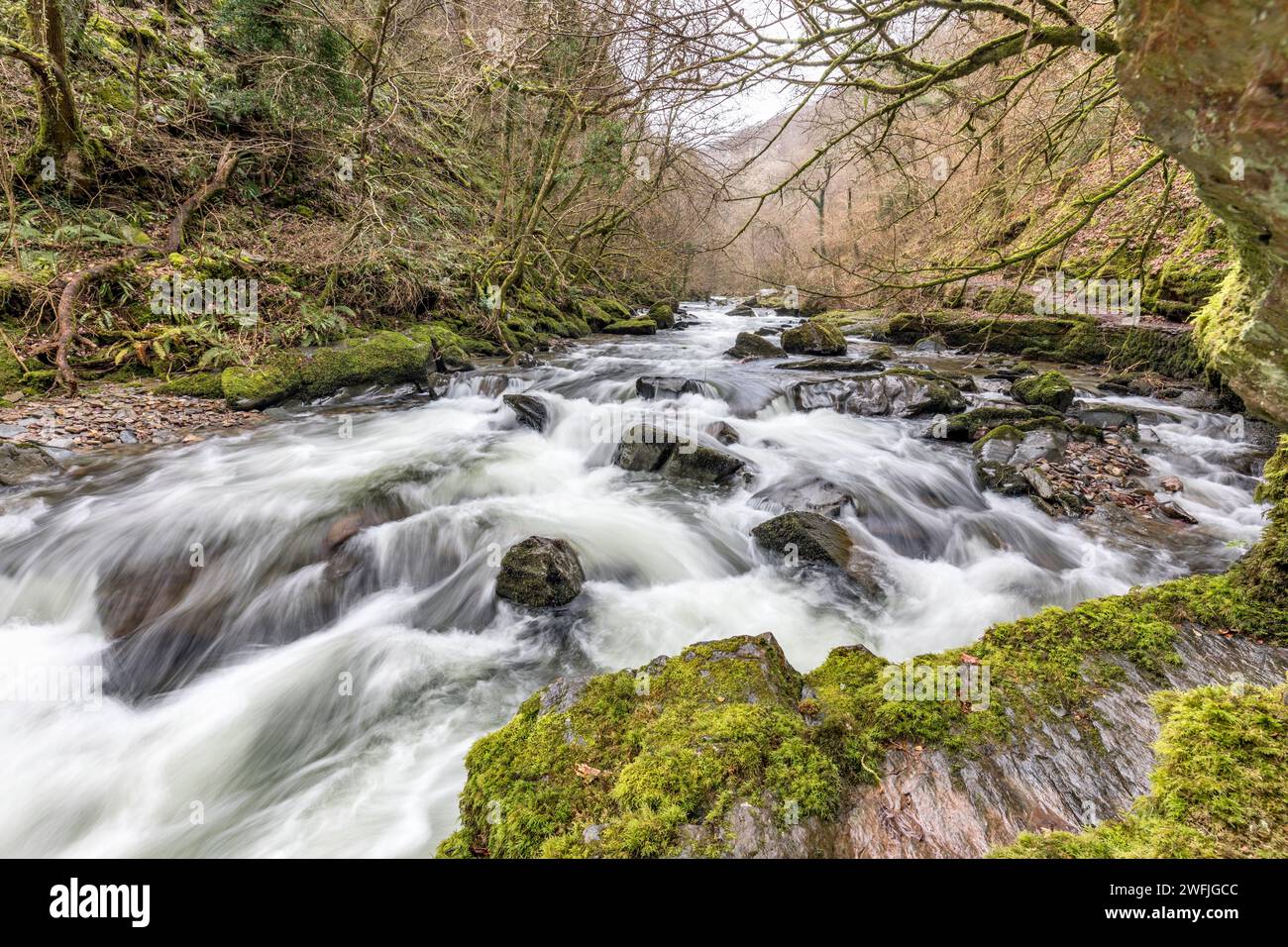 East Lyn River ; Devon ; Royaume-Uni Banque D'Images