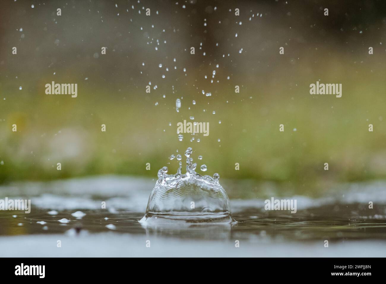 Gocce di poesia nell'istante : la grazia di una singola goccia d'acqua e i suoi schizzi, un'arte liquida congelata Banque D'Images