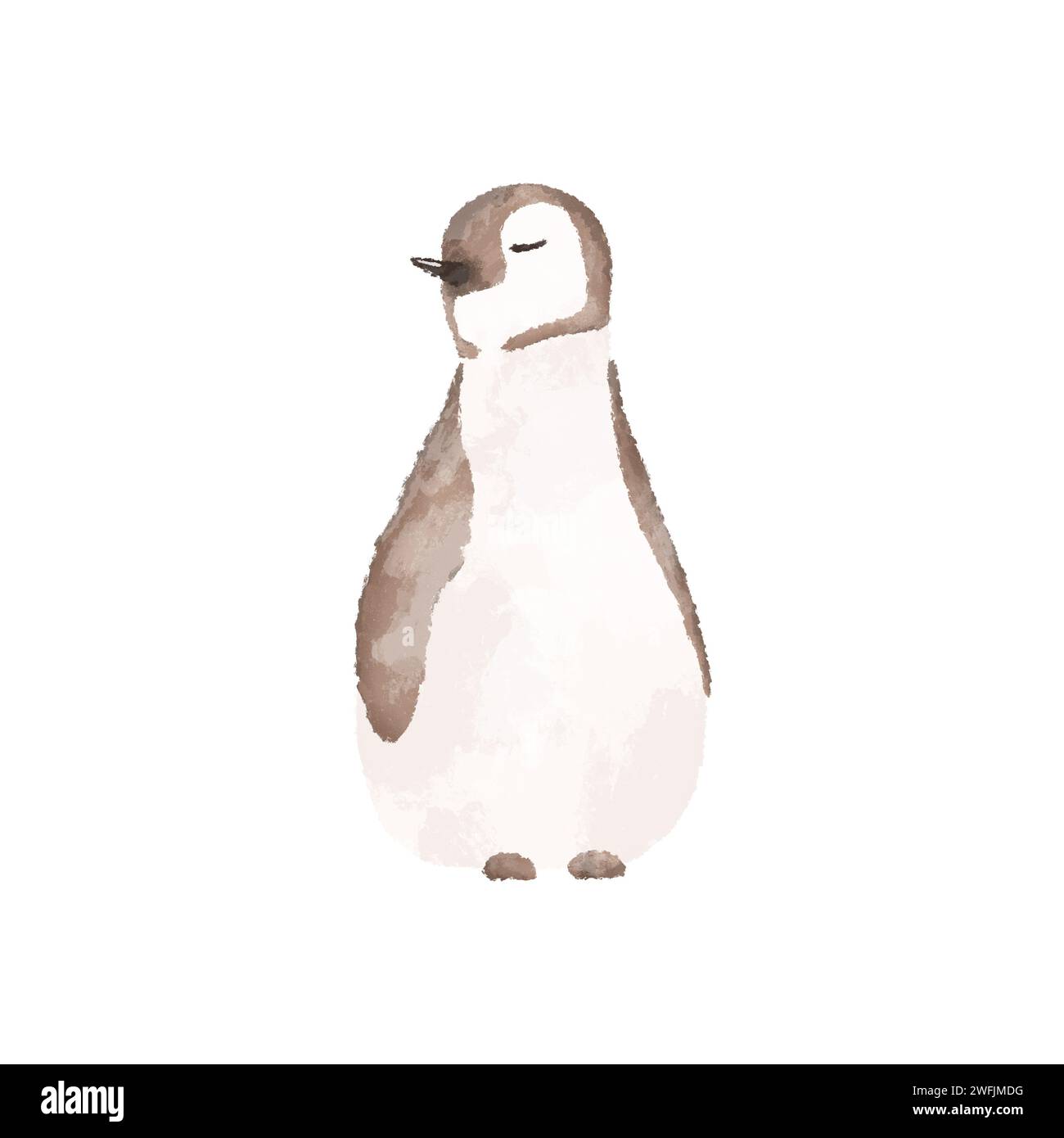 Illustration de pingouin dessinée à la main. Clip art pingouin Banque D'Images