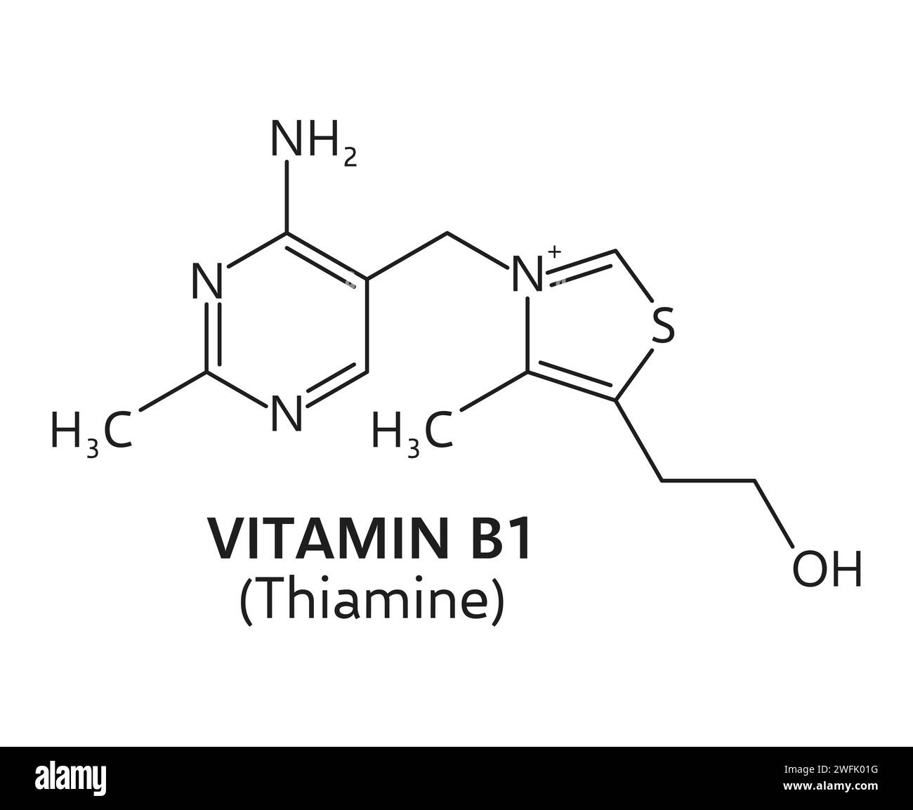 Formule de vitamine B1, structure chimique de thiamine des composés