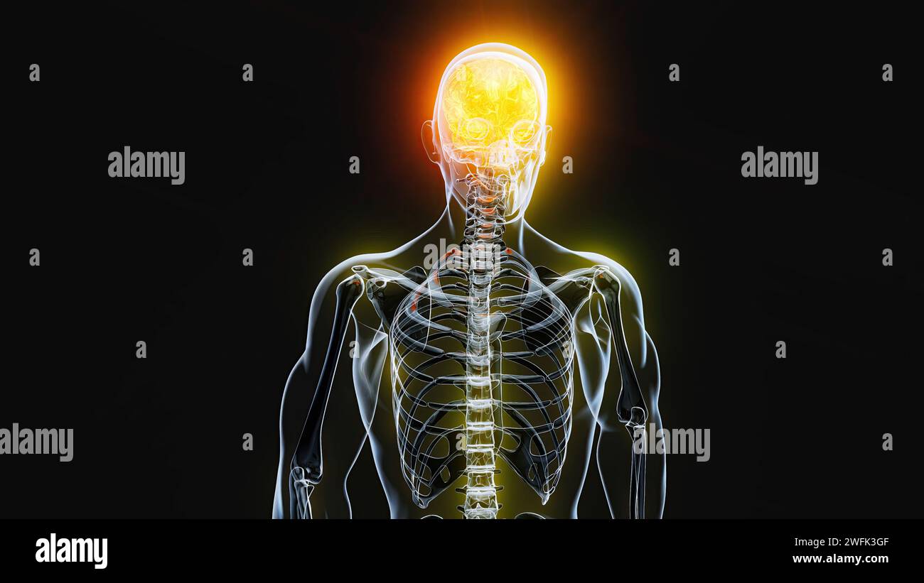 Art abstrait du cerveau Banque D'Images