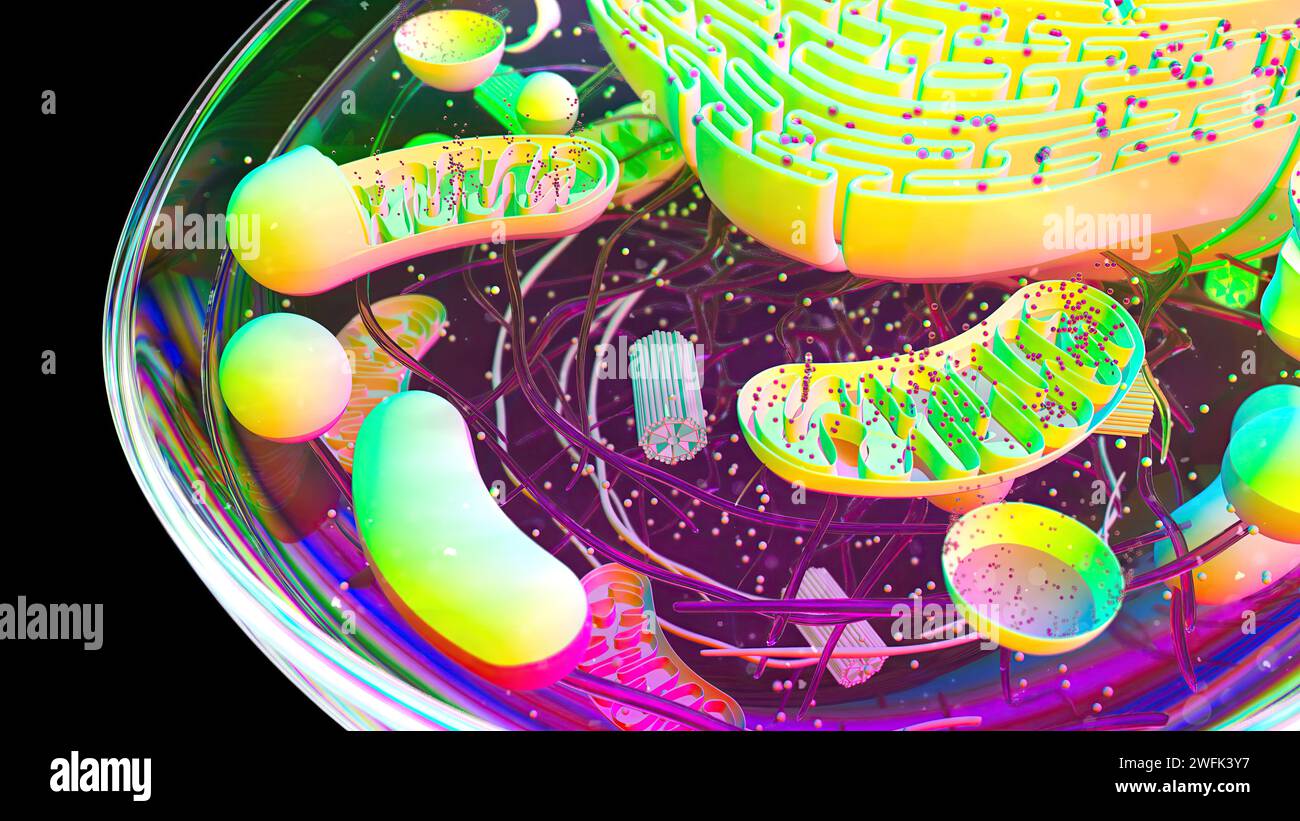 Illustration abstraite en 3D de la cellule et du centriole Banque D'Images