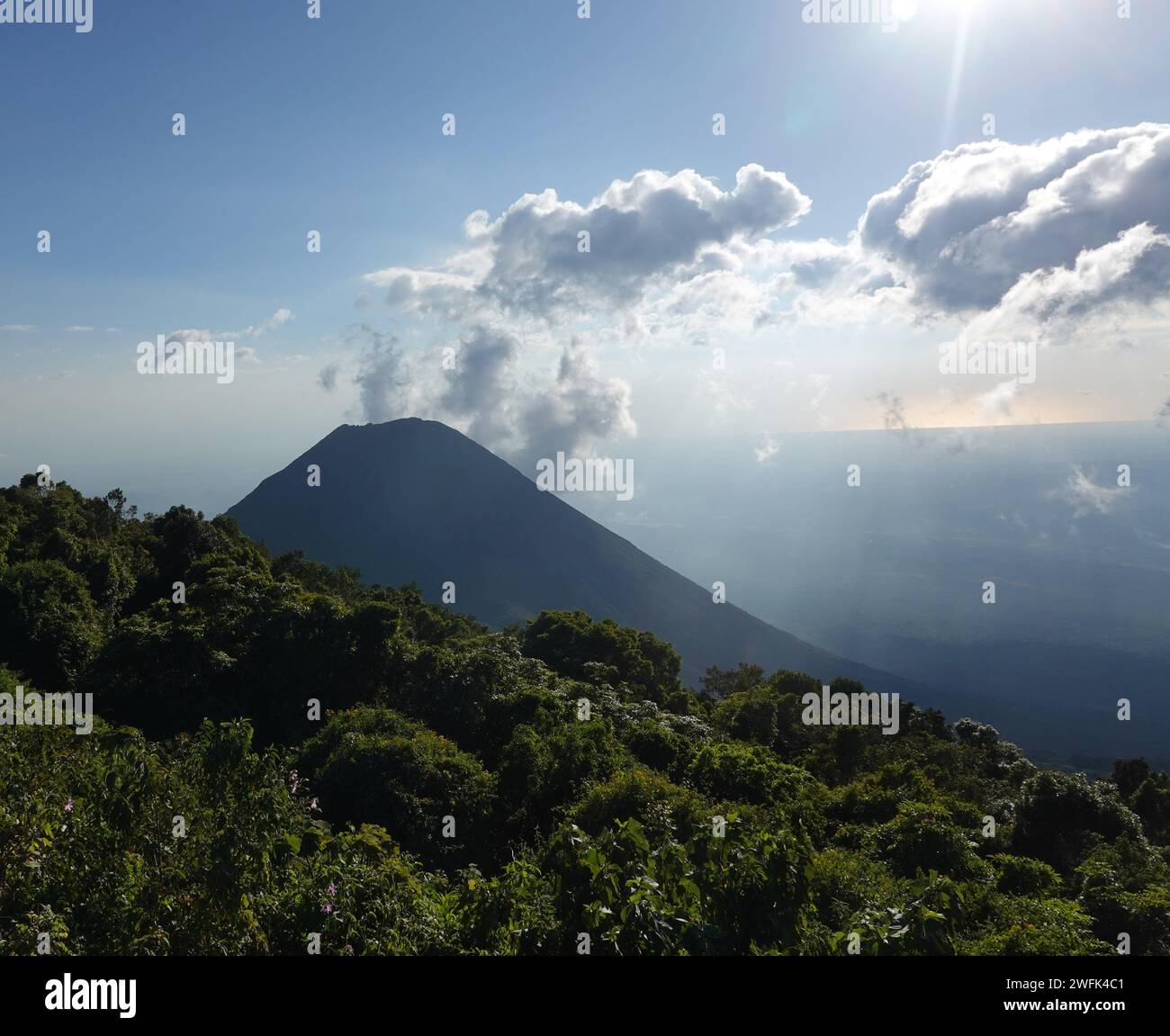 Izalco un stratovolcan actif près du volcan Santa Ana, El Salvador Amérique centrale Banque D'Images