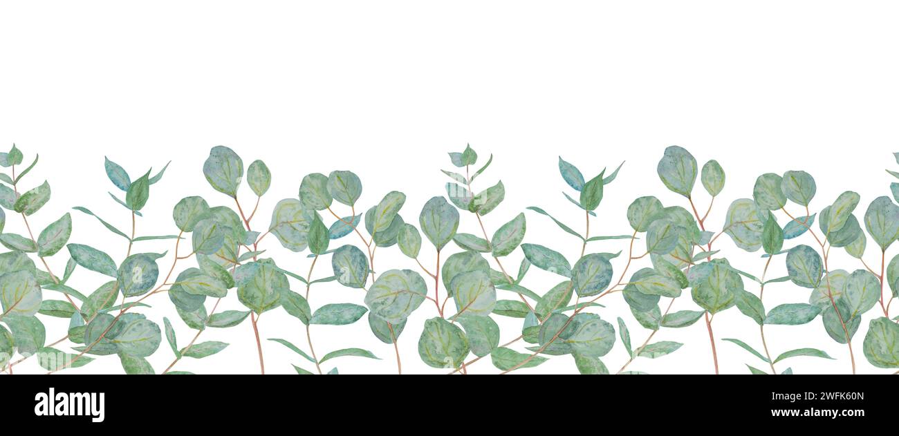 Aquarelle sans couture bordure de branches d'eucalyptus vert menthe. Illustration florale dessinée à la main pour invitations de mariage, produits imprimés, floristique Banque D'Images
