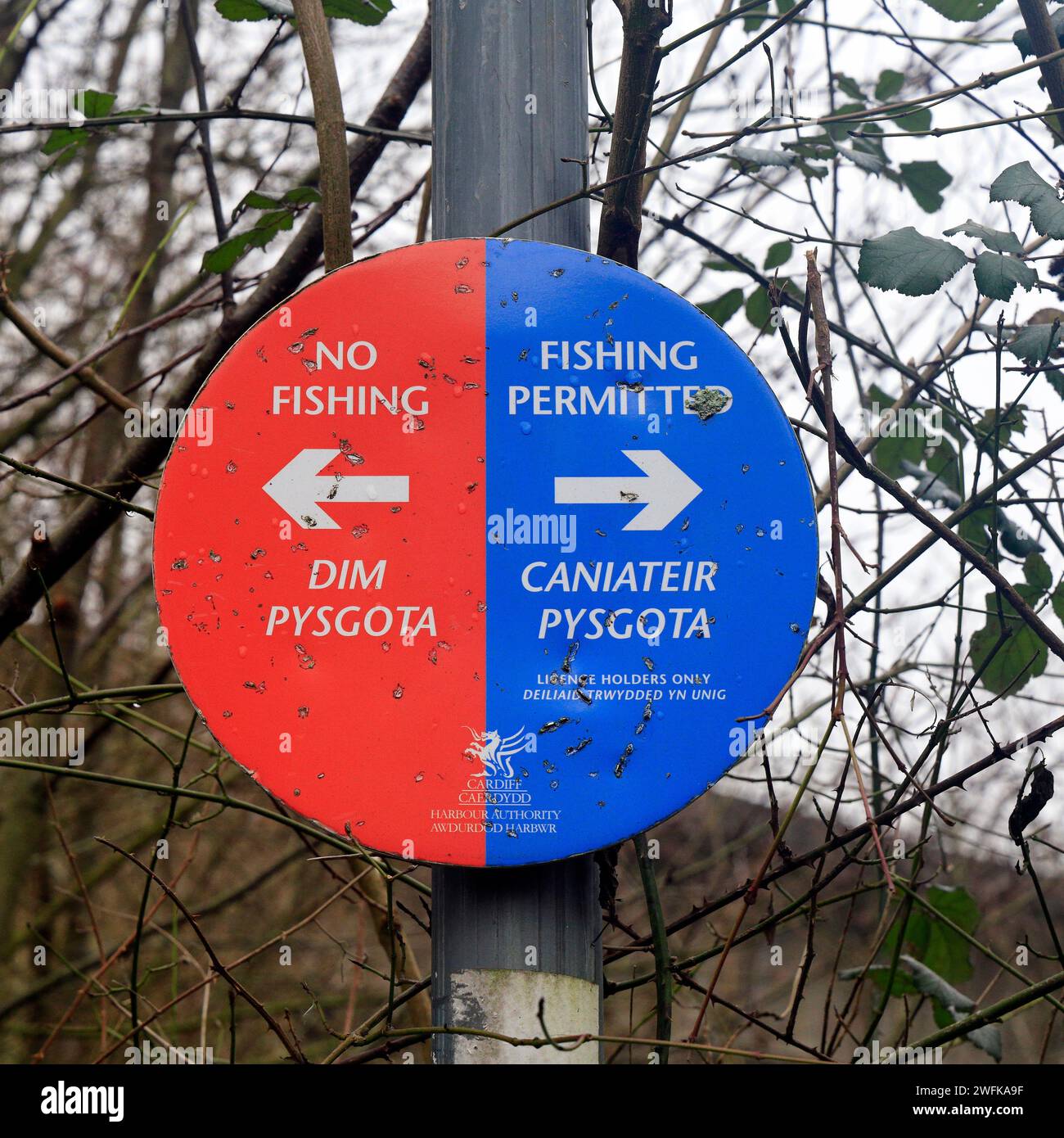 Affiche d'autorisation portuaire pour les permis de pêche nécessaires pour pêcher, bilingue anglais gallois. Pas de pêche / pêche autorisée et Dim Pysgota / Caniateir Pysgota. Banque D'Images