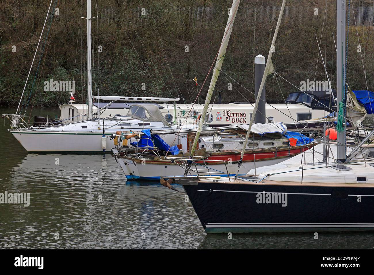 La barge Sitting Duck / Nétrowboat et autres bateaux / yachts amarrés sur la rivière Ely, près de Penarth Marina. Prise hiver 2024, janvier Banque D'Images