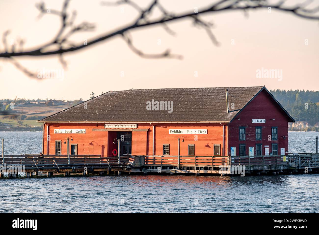 Image horizontale du quai de Penn Cove, Coupeville, Whidbey Island, État de Washington, encadré ci-dessus par une branche d'automne sans feuilles. Banque D'Images