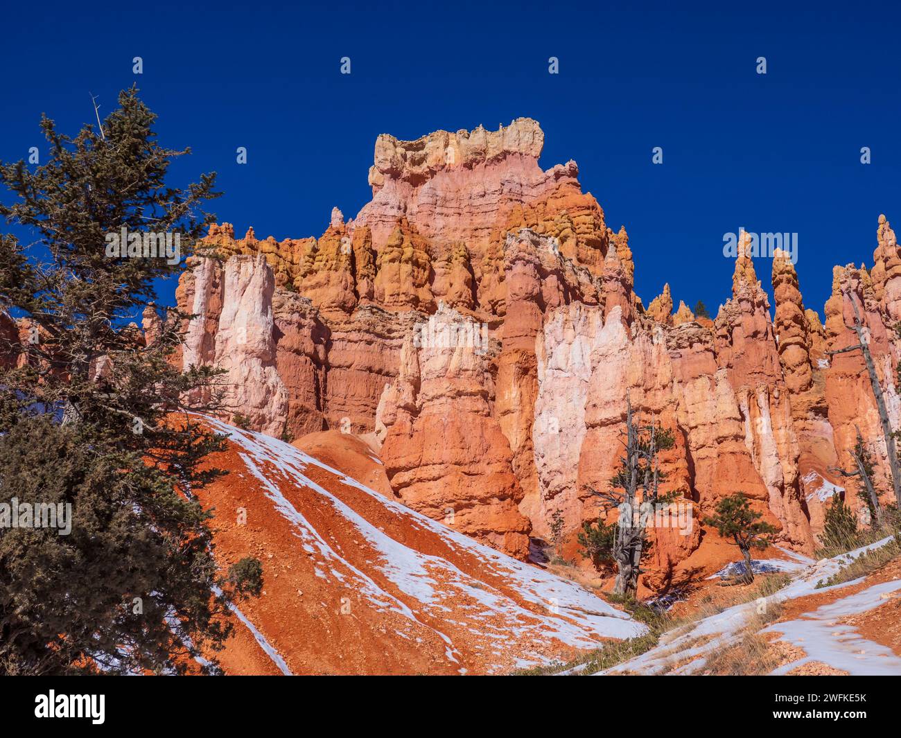 Amphithéâtre de Bryce depuis le Queen's Garden Trail, hiver, parc national de Bryce Canyon, Utah. Banque D'Images