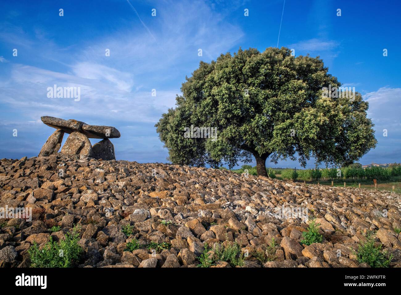 Sorgiñaren Txabola, Chabola de la Hechicera dolmen néolithique, Elvillar, Alava, araba pays Basque, Euskadi Espagne. Dans les différentes fouilles campa Banque D'Images