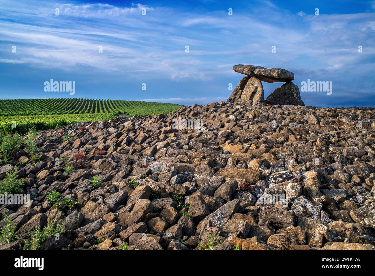 Sorgiñaren Txabola, Chabola de la Hechicera dolmen néolithique, Elvillar, Alava, araba pays Basque, Euskadi Espagne. Dans les différentes fouilles campa Banque D'Images