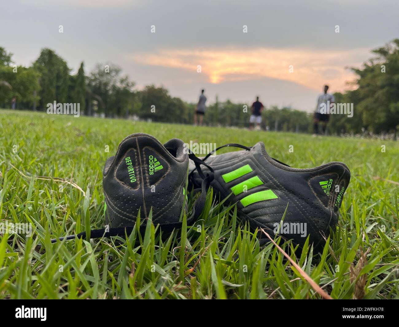 Chaussure de sport laissée dans le champ herbeux Banque D'Images