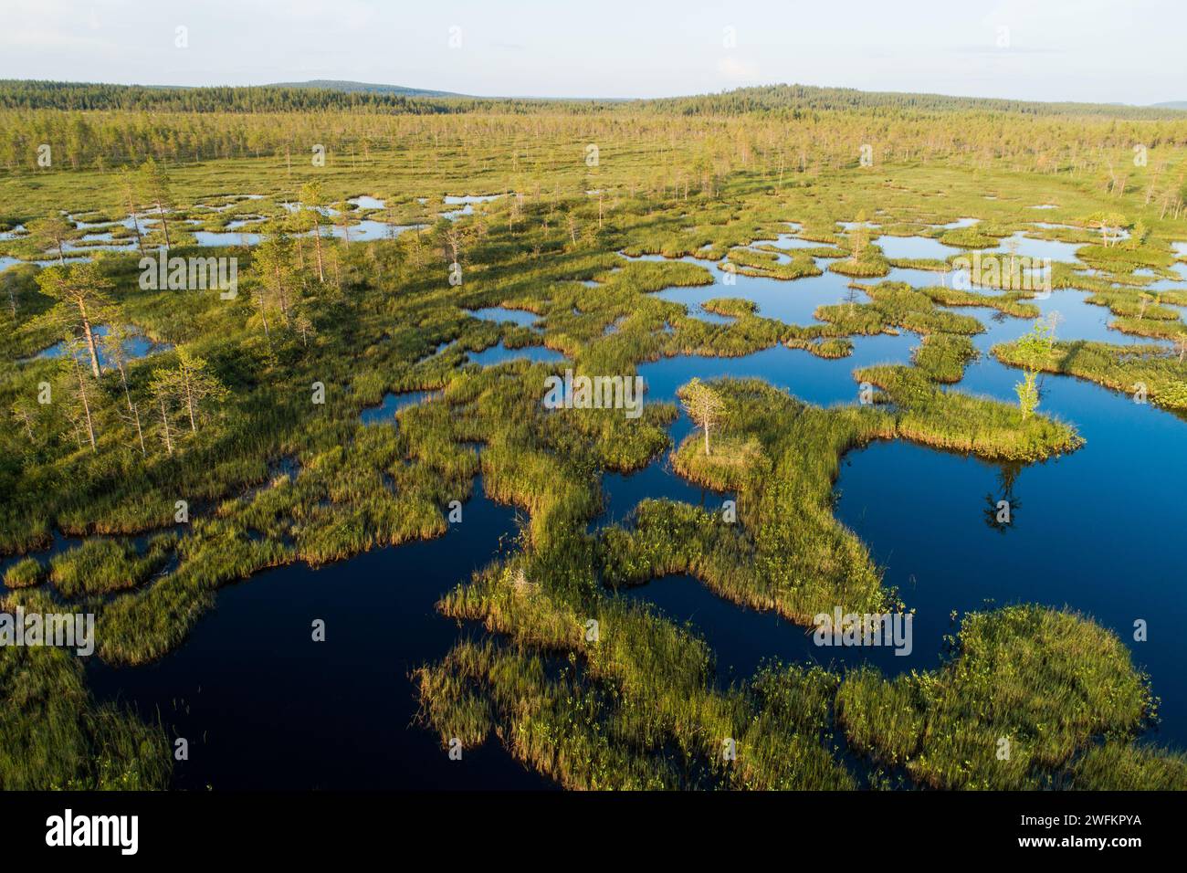 Une antenne d'une zone humide estivale avec des étangs de tourbière près de Kemijärvi, dans le nord de la Finlande Banque D'Images