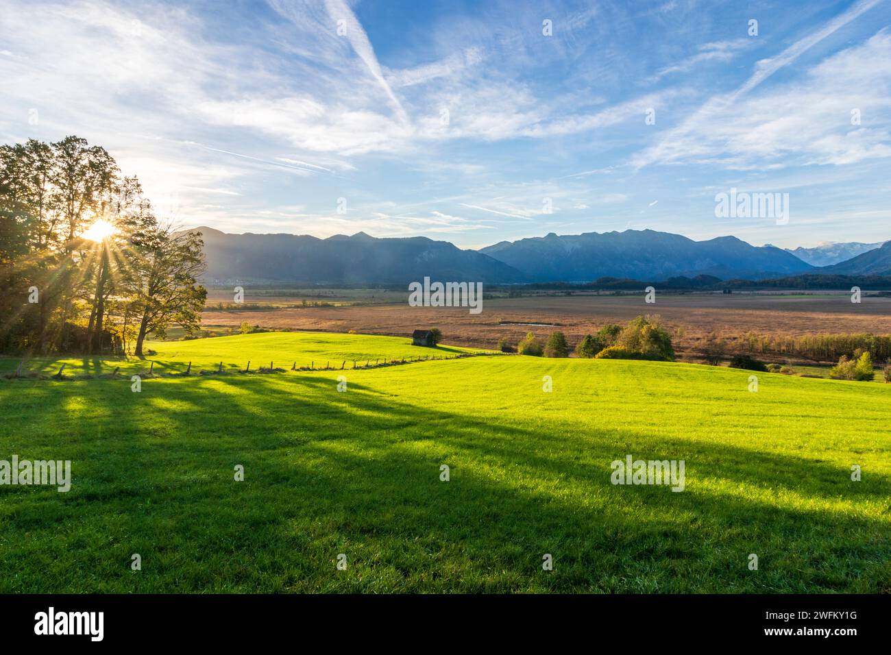 Murnau am Staffelsee : Bog Murnauer Moos at Sunrise, Alpes in Oberbayern, Pfaffenwinkel, haute-Bavière, Bayern, Bavière, Allemagne Banque D'Images