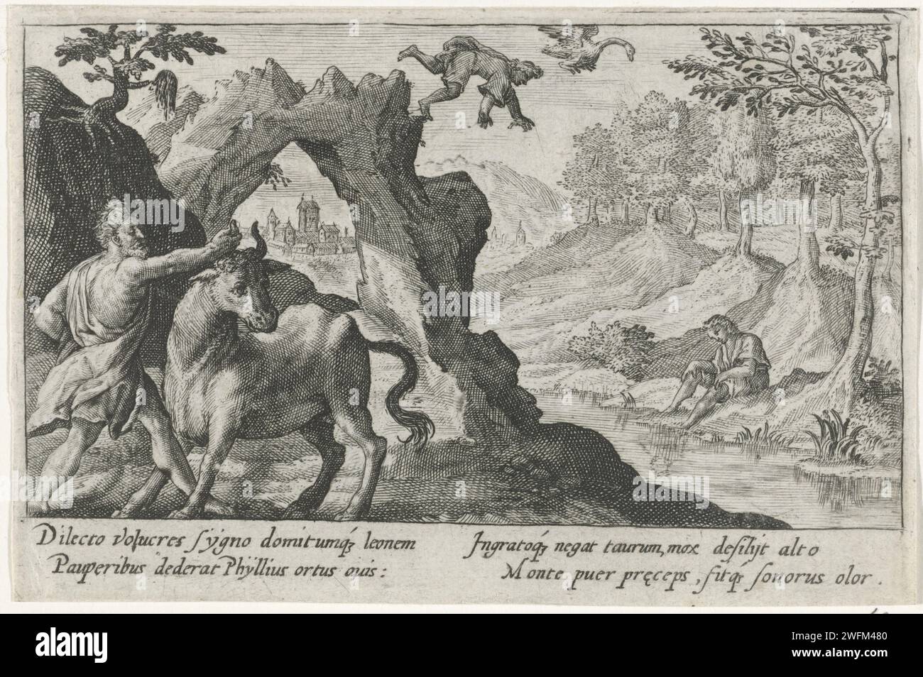 Cygnus saute d'un rocher, Crispijn van de passe (I), 1602 - 1607 print Phylius refuse de donner le taureau qu'il a attrapé à Cygnus. Cygnus, le fils d'Apollon et d'Hyria, en est dépouillé et saute d'un rocher. Il est transformé en cygne par son père. Dans la marge, une légende de quatre lignes, en deux colonnes, en latin. Gravure sur papier de Cologne Cygne, fils d'Apollon, changé en cygne : parce que son ami Phil(l)ius a refusé de lui donner le taureau capturé par l'aide d'Hercule, Cycnus, le fils d'Apollon, saute d'une falaise, et est changé en cygne (Ovide, Métamorphoses VII 371) Banque D'Images