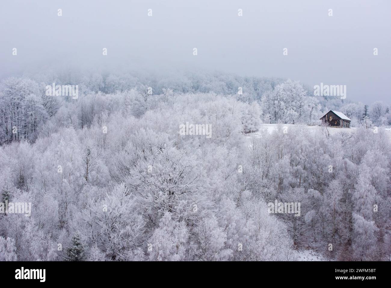 Une cabane en bois isolée entourée d'une forêt gelée. Magnifique paysage de chalet d'hiver Banque D'Images