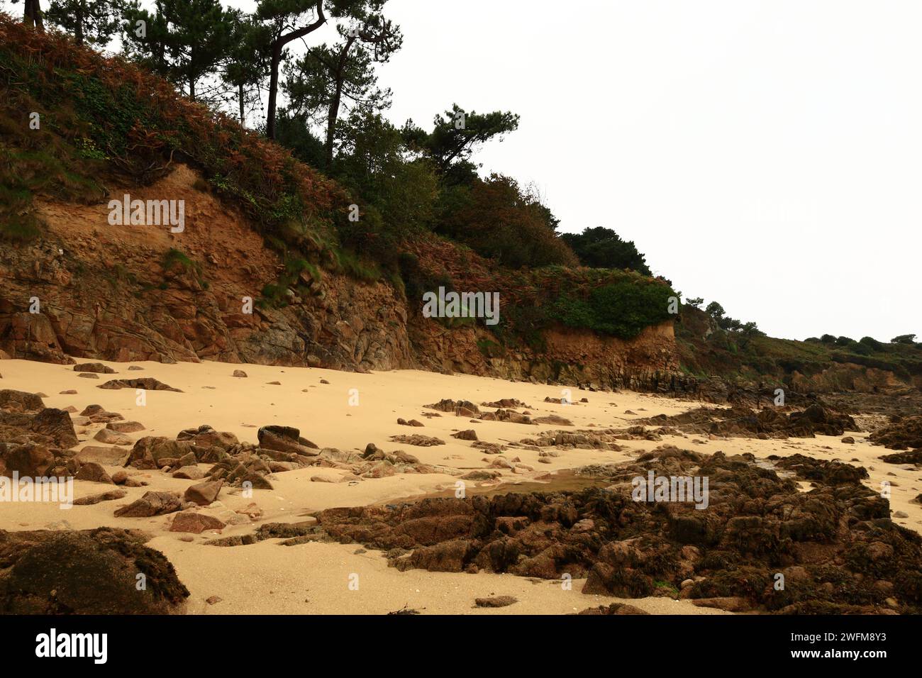 Vue sur la plage de Tahiti située sur la commune de Carantec dans le département du Finistère en Bretagne Banque D'Images