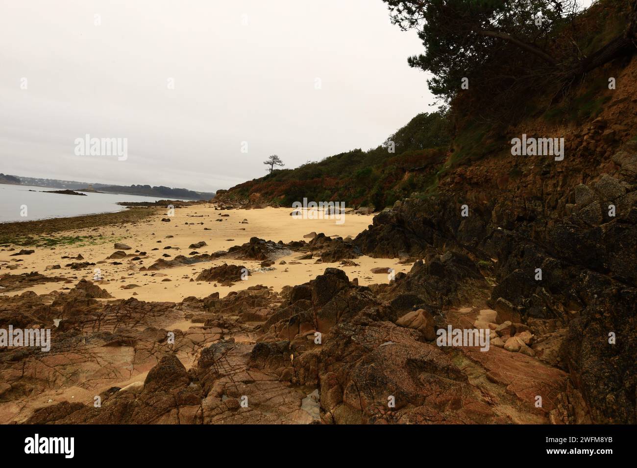 Vue sur la plage de Tahiti située sur la commune de Carantec dans le département du Finistère en Bretagne Banque D'Images