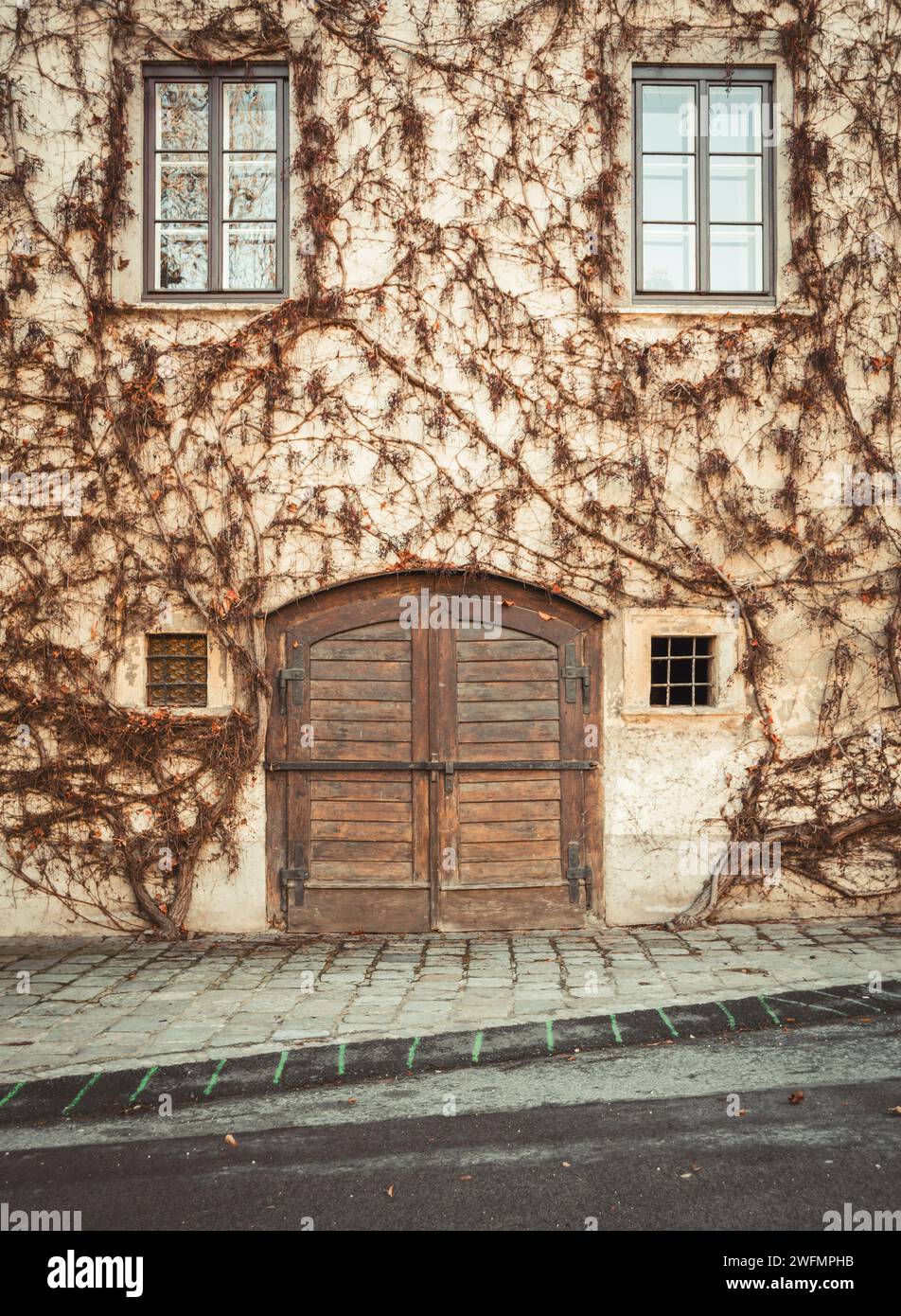 Façade d'une ancienne maison européenne avec porte en bois. Ivy mur couvert de bâtiment beige dans la petite ville. Banque D'Images