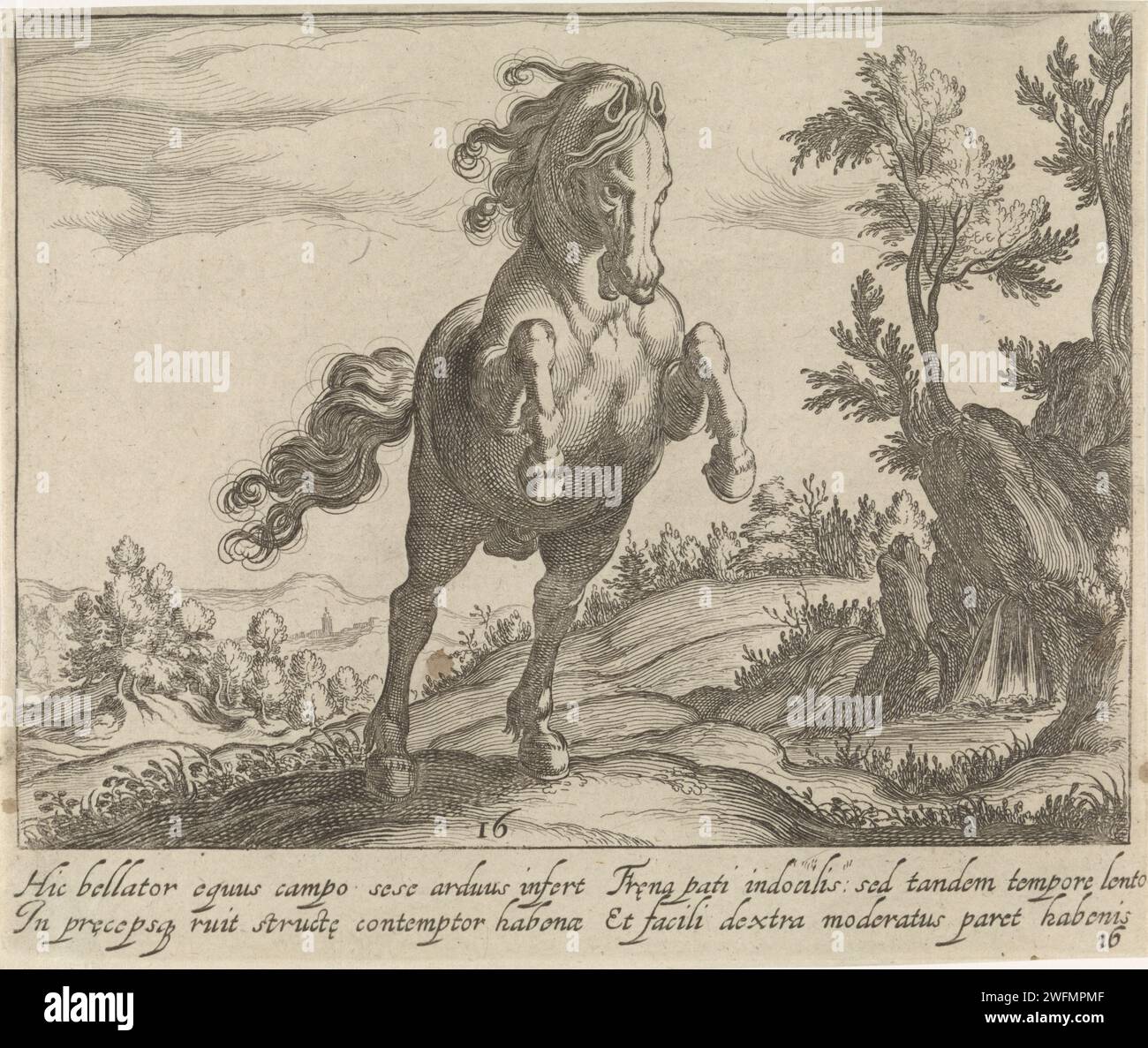 Paysage avec le cheval de prancing, Egbert van Panderen, d'après Antonio Tempesta, c. 1590 - 1637 imprimer paysage vallonné avec le cheval de prancing, de l'avant. Dans la marge, une légende bidirectionnelle en latin. Imprimer à partir d'une série de trente avec des races de chevaux. Amsterdam papier gravure / gravure cheval Banque D'Images