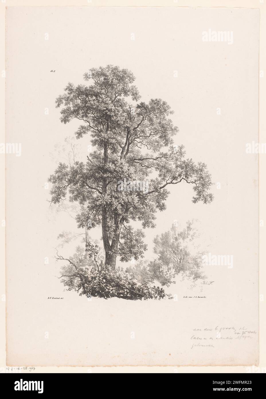 Haut d'un arbre, Barend Cornelis Koekkoek, 1829 - 1830 tirage numéroté en haut à gauche : 'n ° 2'. Amsterdam papier groupes d'arbres Banque D'Images