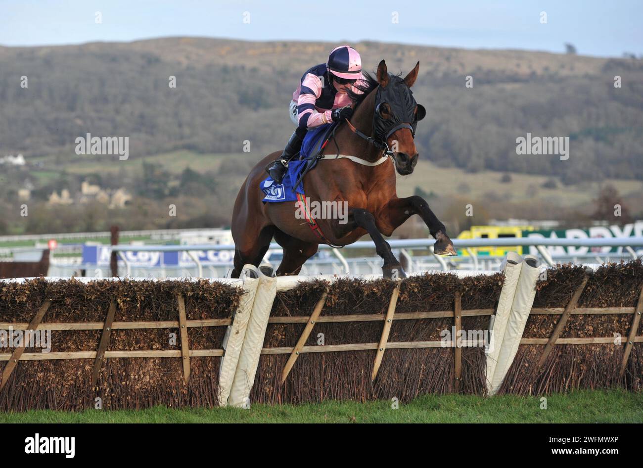 Course 7 15H35 The McCoy Contractors Cleeve Hurdle Race Flight Deck monté par Chris Ward sautant la dernière course de chevaux à Cheltenham Racecourse, P Banque D'Images