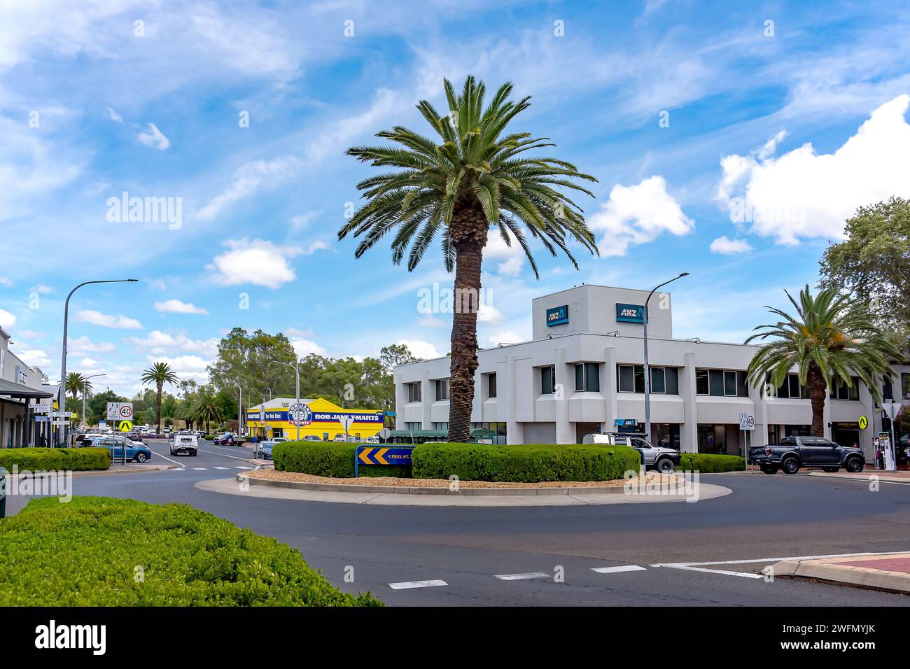 Palm Tree au centre du rond-point à la jonction de Peel Streets et White Streets Tamworth Australia. Banque D'Images