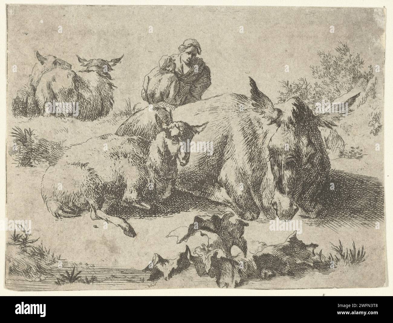 Herderin avec l'âne et trois moutons, Romeyn de Hooghe (attribué à), d'après Nicolaes Pietersz Berchem, 1655 - 1667 print Shepherdin avec l'âne et trois moutons pays-Bas gravure papier Banque D'Images