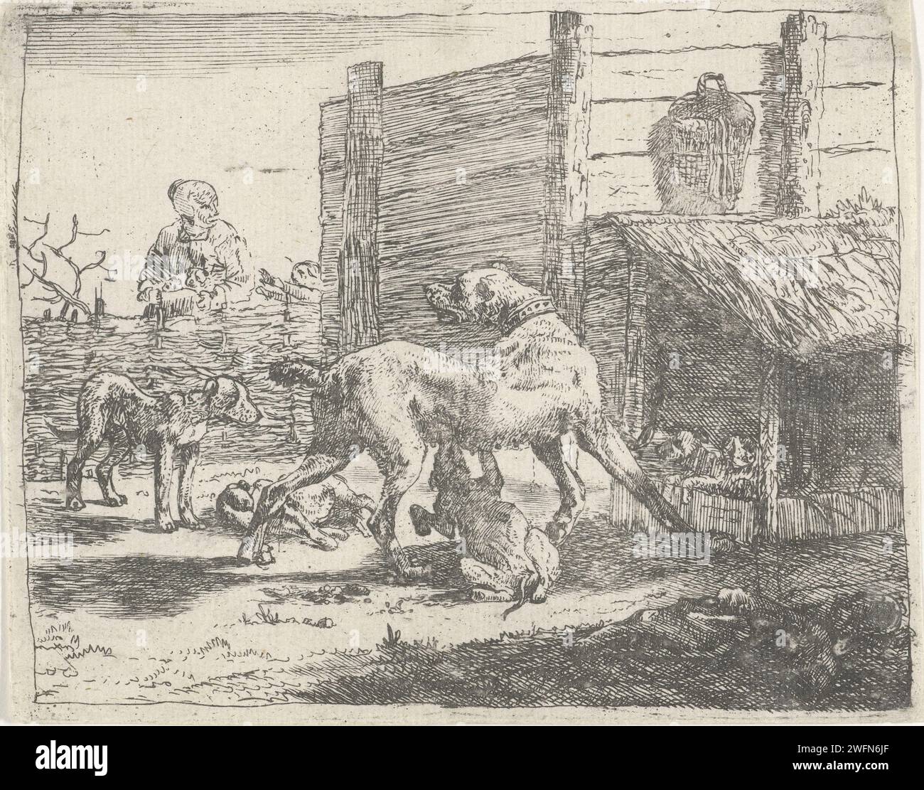 Femelle avec chiots, Pauwels van Hillegaert, 1654 imprimer femelle avec chiots dans une niche derrière une clôture. Cinquième tirage d'une série de huit tirages avec des performances de chiens. Chien de gravure de papier Amsterdam Banque D'Images