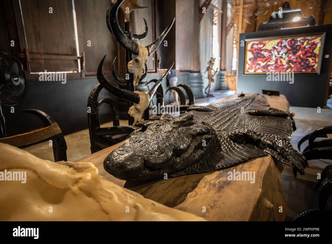 Chiang Rai, Thaïlande. 19 janvier 2024. Une peau de crocodile avec sa tête à l'intérieur de la Maison Noire. Le ''Baan Dam Museum'', également connu sous le nom de ''Black House'' et souvent appelé ''Black Temple'' n'est pas vraiment un temple, mais plutôt un musée d'art et un studio présentant diverses œuvres d'artistes. La ''Maison Noire'' est également la plus grande collection au monde de restes d'animaux transformés en meubles. Il a été conçu par le célèbre artiste thaïlandais Thawan Duchanee mélangeant des bâtiments traditionnels du nord de la Thaïlande avec une architecture non conventionnelle et contemporaine. (Crédit image : © Guillaume Payen/SOPA Images via ZUMA Banque D'Images