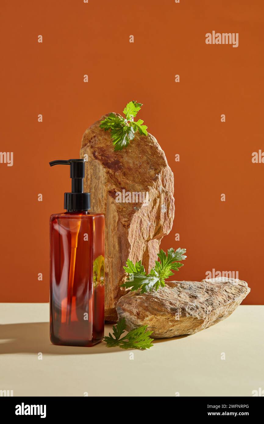 Une bouteille pompe en verre sans étiquette affichée avec de grosses pierres, pour promouvoir le produit extrait de Mugwort. Armoise (Artemisia vulgaris) a du tanin, un in Banque D'Images