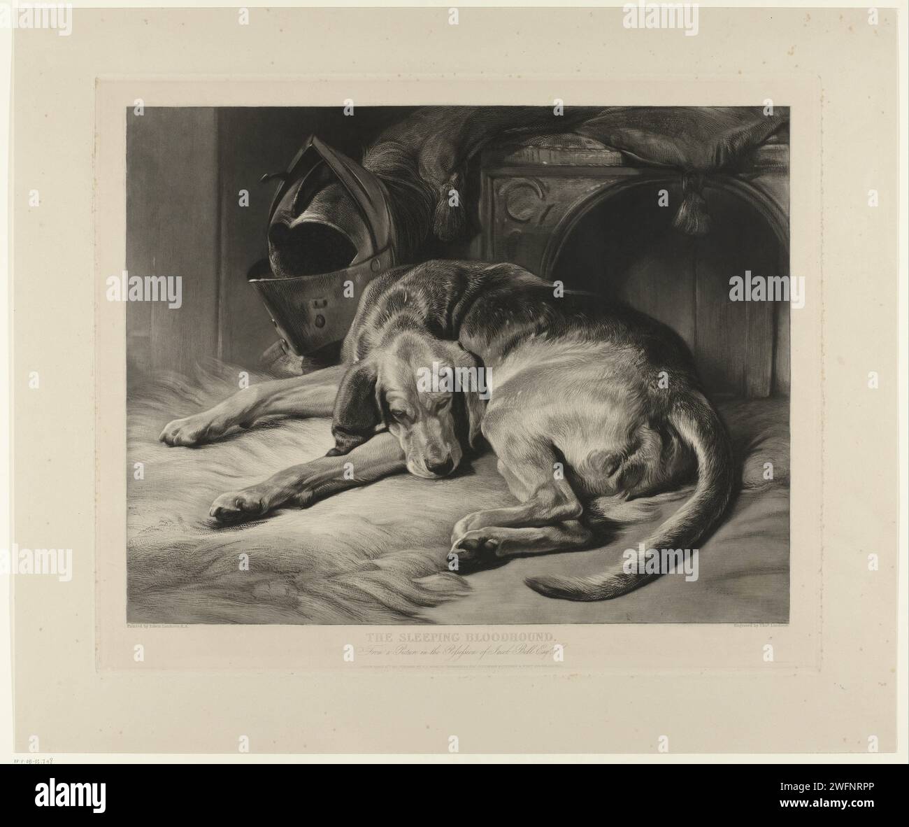 Chien de chasse endormi, Thomas Landseer, d'après Edwin Henry Landseer, 1837 imprimer le chien est probablement un Braque Français. Editeur : Londonpublisher : Londonpublisher : Oxford paper graving / dog. animaux (+ animal(s) endormi(s)). casque Banque D'Images