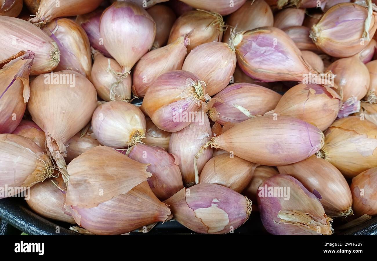 Des échalotes rouges françaises entières éparpillées librement sur une étagère de supermarché. Allium cepa, une partie du genre Allium des oignons. Banque D'Images