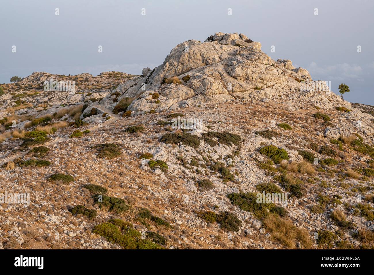 Puig Caragolí, 945 metros, camino del Archiduque, - Camí de s'Arxiduc -, Valldemossa, Mallorca, Îles Baléares, Espagne Banque D'Images