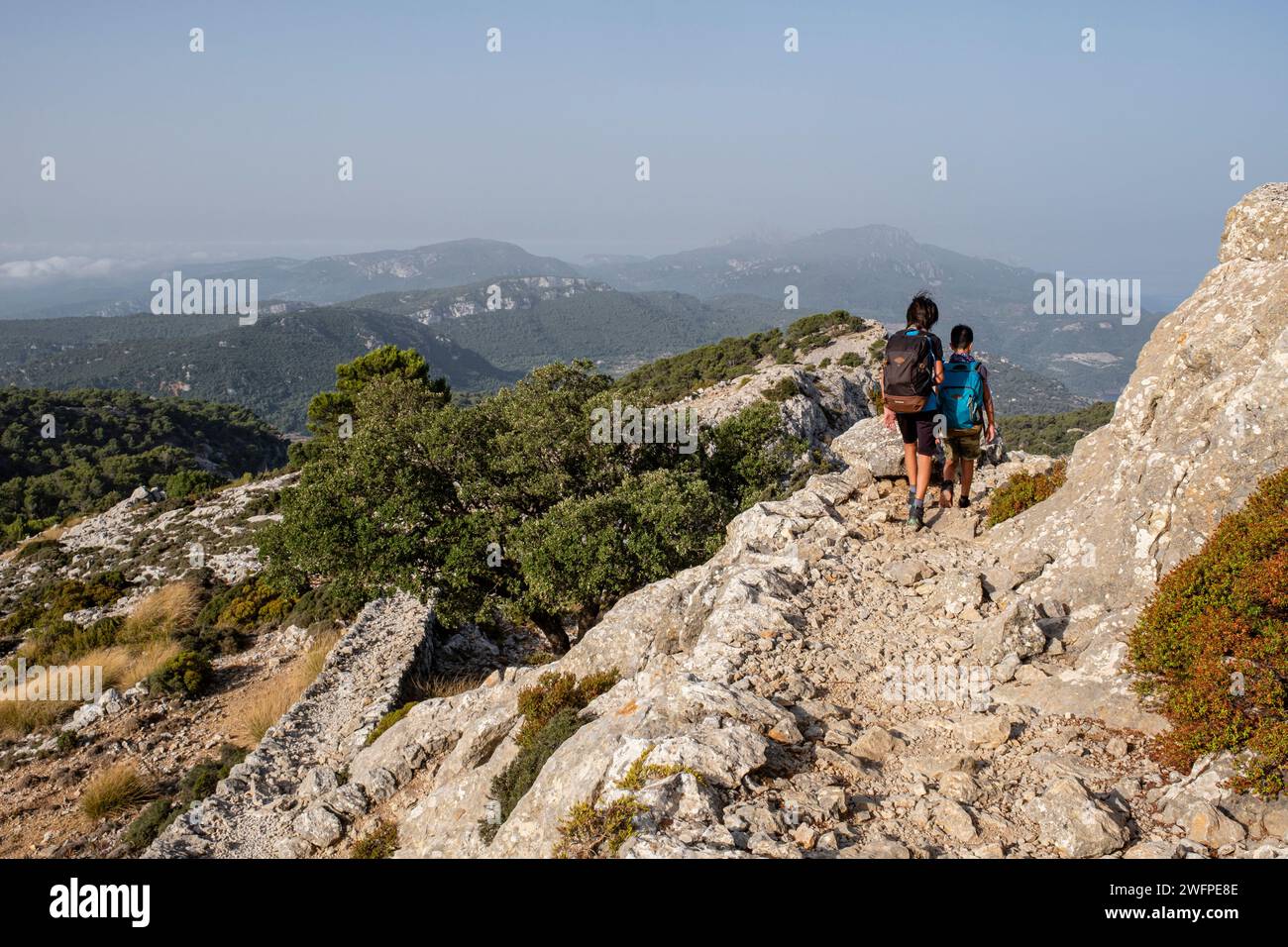 camino del Archiduque, - Camí de s'Arxiduc -, Valldemossa, Majorque, Iles Baléares, Espagne Banque D'Images