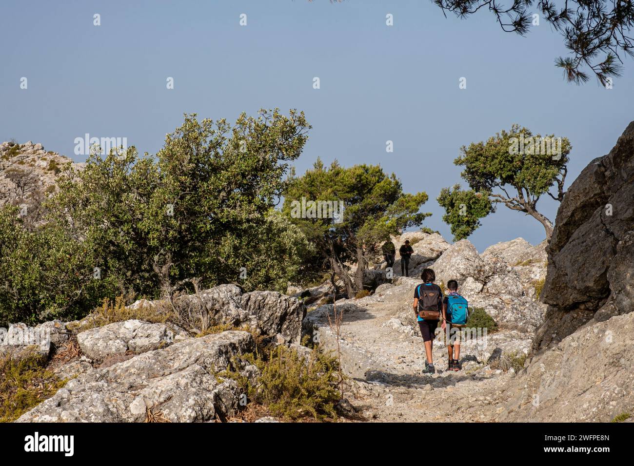camino del Archiduque, - Camí de s'Arxiduc -, Valldemossa, Majorque, Iles Baléares, Espagne Banque D'Images