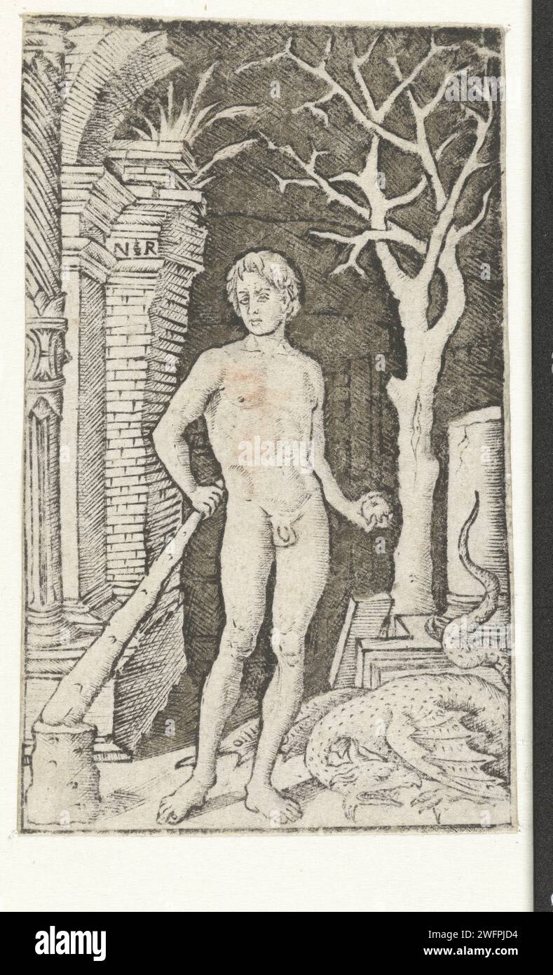 Hercule avec club et pomme d'or se dresse à côté d'un dragon mort dans le jardin des Hespérides, Nicoletto da Modena, 1490 - 1520 imprimer Italie gravure sur papier Hercule tue Ladon, le dragon qui a gardé l'arbre des Hespérides Banque D'Images