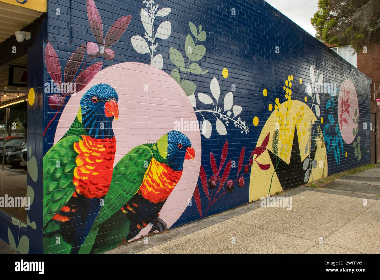 Rainbow Lorikeet Street Art, South Frankston, Victoria, Australie Banque D'Images